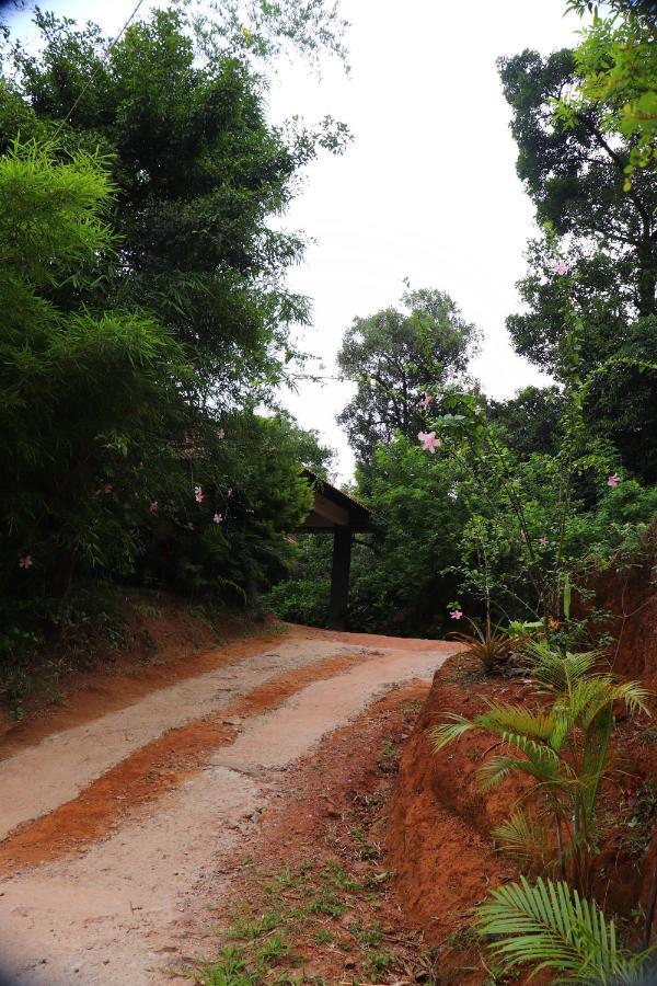 מדיקרי Coorg Nature Breeze Home Stay מראה חיצוני תמונה
