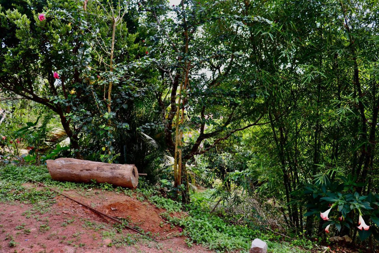 מדיקרי Coorg Nature Breeze Home Stay מראה חיצוני תמונה